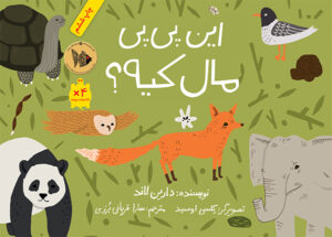 این پی‌پی مال کیه؟